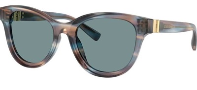 Dolce Gabbana DG4533 Güneş Gözlüğü Mavi 344880 CR39 Organik 1.5