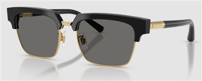 Dolce Gabbana DG4522 Güneş Gözlüğü Siyah 501/1 CR39 Organik 1.5