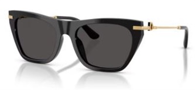 Dolce Gabbana DG4511 Güneş Gözlüğü Siyah 501/87 CR39 Organik 1.5