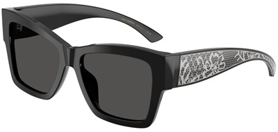 Dolce Gabbana DG4493 Güneş Gözlüğü Siyah 501/87 CR39 Organik 1.5