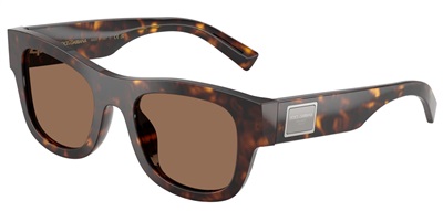 Dolce Gabbana DG4509 Güneş Gözlüğü Kahverengi 502/73 CR39 Organik 1.5