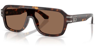 Dolce Gabbana DG4507 Güneş Gözlüğü Kahverengi 502/73 CR39 Organik 1.5
