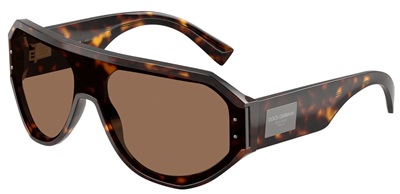 Dolce Gabbana DG4481 502/73 Dark Brown Sunglasses