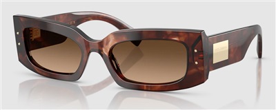 Dolce Gabbana DG4479 502/73 Brown Sunglasses