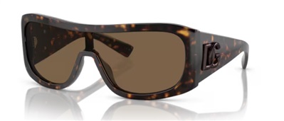 Dolce Gabbana DG4454 502/73 Brown Sunglasses