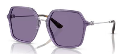 Dolce Gabbana DG4422 34071A Purple Sunglasses