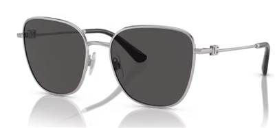 Dolce Gabbana DG2293 05/87 Silver Sunglasses