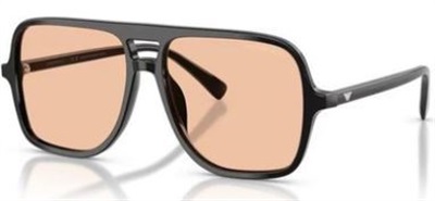 Emporio Armani EA4252U Güneş Gözlüğü Siyah 501793 CR39 Organik 1.5
