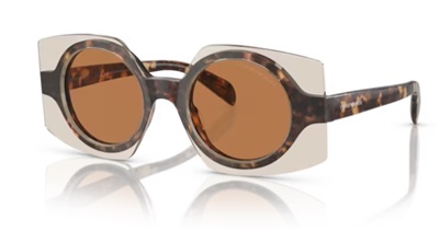 Emporio Armani EA4207 Güneş Gözlüğü Kahverengi 603073 CR39 Organik 1.5