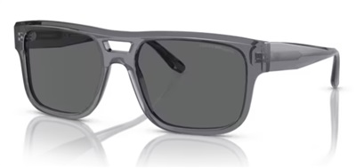 Emporio Armani İndirimli EA4197 Güneş Gözlüğü Gri 502987 CR39 Organik 1.5