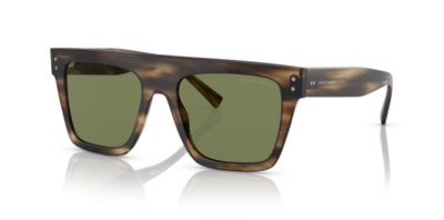 Giorgio Armani İndirimli AR8177 Güneş Gözlüğü Kahverengi 54092A CR39 Organik 1.5