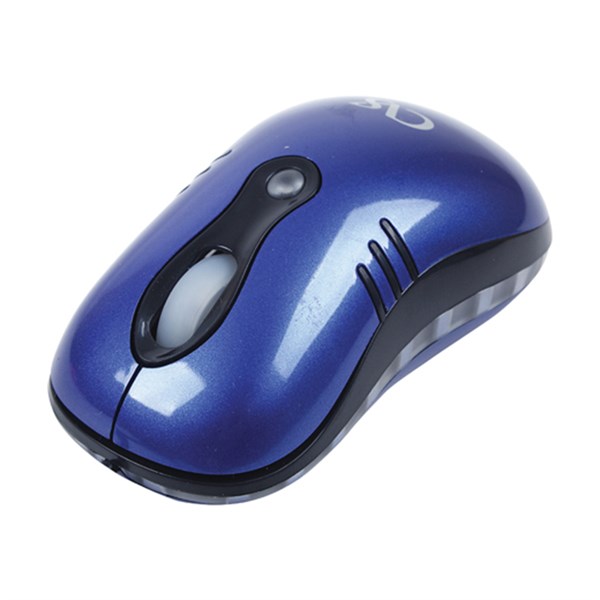 CVS DN962 USB Color Mouse