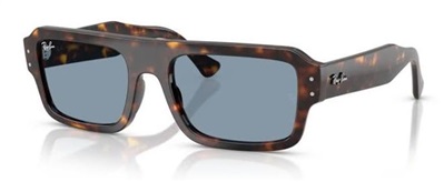 Ray-Ban RB4454 Brown Sunglasses 902/56