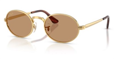 Ray-Ban RB3931 Men's Sunglasses Gold 001/53