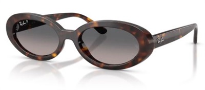 Ray-Ban RB2223 902/M3 Brown Polarized Sunglasses