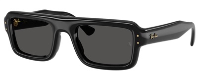 Ray-Ban RB4954 Güneş Gözlüğü Siyah 601/87 CR39 Organik 1.5