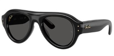 Ray-Ban RB4925 Güneş Gözlüğü Siyah 601/87 CR39 Organik 1.5