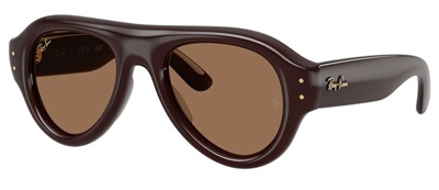 Ray-Ban RB4925 Güneş Gözlüğü Koyu Kahverengi 689673 CR39 Organik 1.5