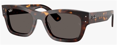 Ray-Ban RB7683S Güneş Gözlüğü Koyu Kahverengi 902/B1 Mineral