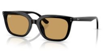 Ray-Ban RB4439D Men's Sunglasses Black 901/73 CR39 Organic 1.5