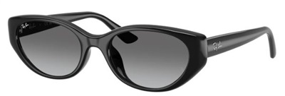 Ray-Ban RB4457D Güneş Gözlüğü Siyah 667711 CR39 Organik 1.5
