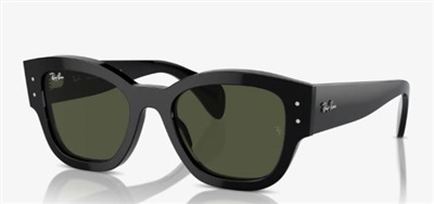 Ray-Ban RB7681S Güneş Gözlüğü Siyah 901/31 Mineral
