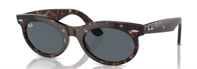 Ray-Ban RB2242 Güneş Gözlüğü Kahverengi 902/R5 Mineral