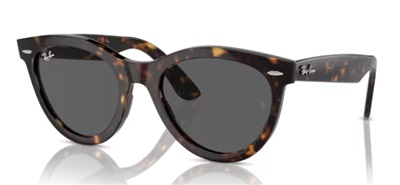 Ray-Ban RB2241 Güneş Gözlüğü Kahverengi 902/B1 Mineral