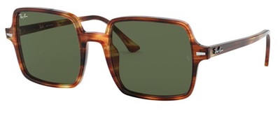 Ray-Ban İndirimli RB1973 Güneş Gözlüğü Kahverengi 954/31 Mineral