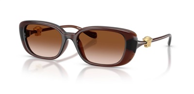 Versace VE4504D Güneş Gözlüğü Kahverengi 533213 CR39 Organik 1.5