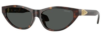 Versace VE4491U Güneş Gözlüğü Koyu Kahverengi 108/87 CR39 Organik 1.5