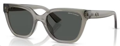 Armani Exchange AX4164SU Güneş Gözlüğü Koyu Gri 839487 CR39 Organik 1.5