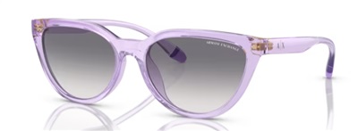 Armani Exchange İndirimli AX4130SU Güneş Gözlüğü Mor 823679 CR39 Organik 1.5