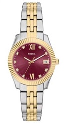 Fossil FES5461 Kol Saati Gümüş/altın