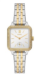 Fossil Colleen FBQ3908 Kol Saati Gümüş