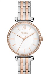 Fossil FBQ3901 Kol Saati Gümüş/rose