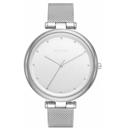 Skagen İndirimli SKW2485 Kol Saati Gümüş