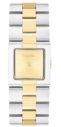 Calvin Klein Ck Meridian CK25100115 Kol Saati Gümüş/altın