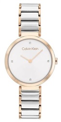 Calvin Klein CK25200139 Kol Saati Gümüş/rose
