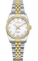 Roche Montre RML5013-03 Kol Saati Gümüş/altın