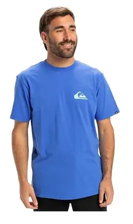 Quiksilver Ev Mini Logo SS