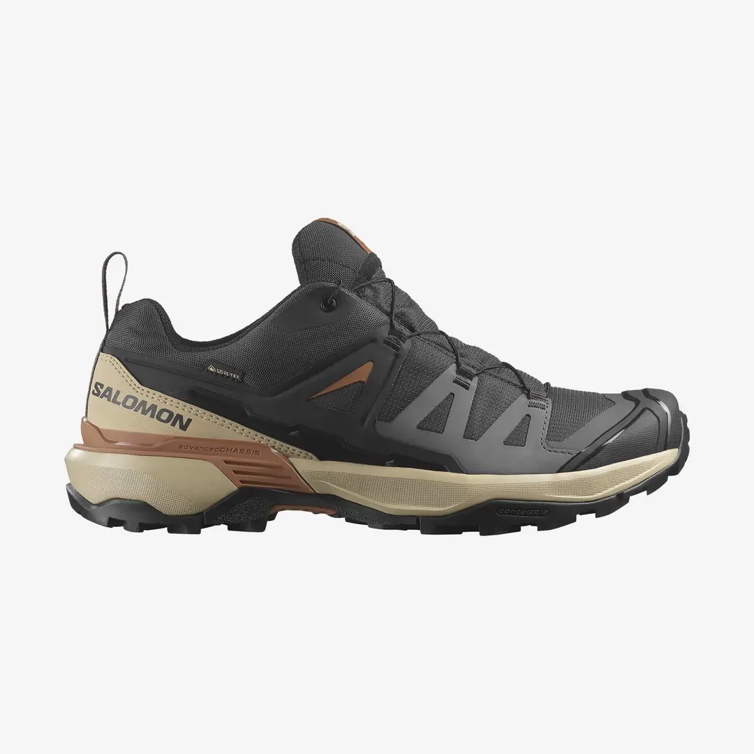 Salomon X Ultra 360 GTX