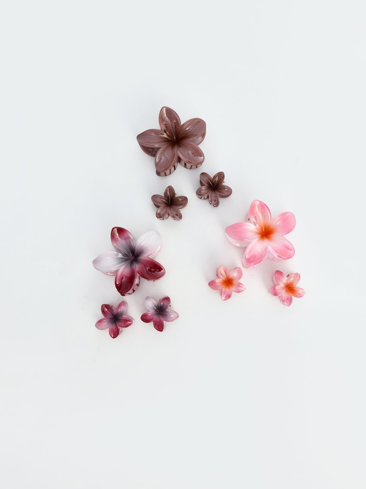 LC Waikiki 7330372 Assorted Hair Clips