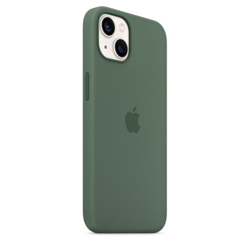 iPhone 13-13 Pro Okaliptus Kılıf