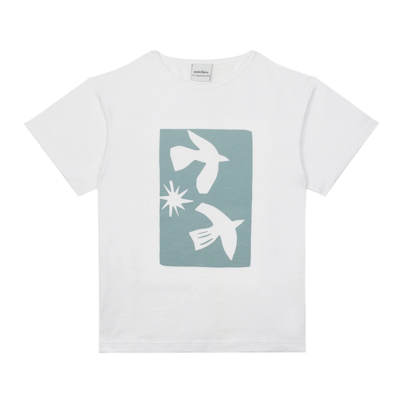 Antebies Sky Baskılı Tshirt