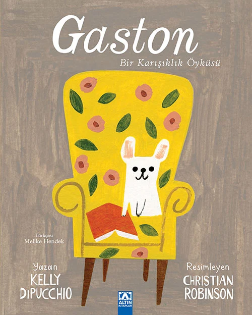 Gaston Bir Karisiklik Öyküsü
