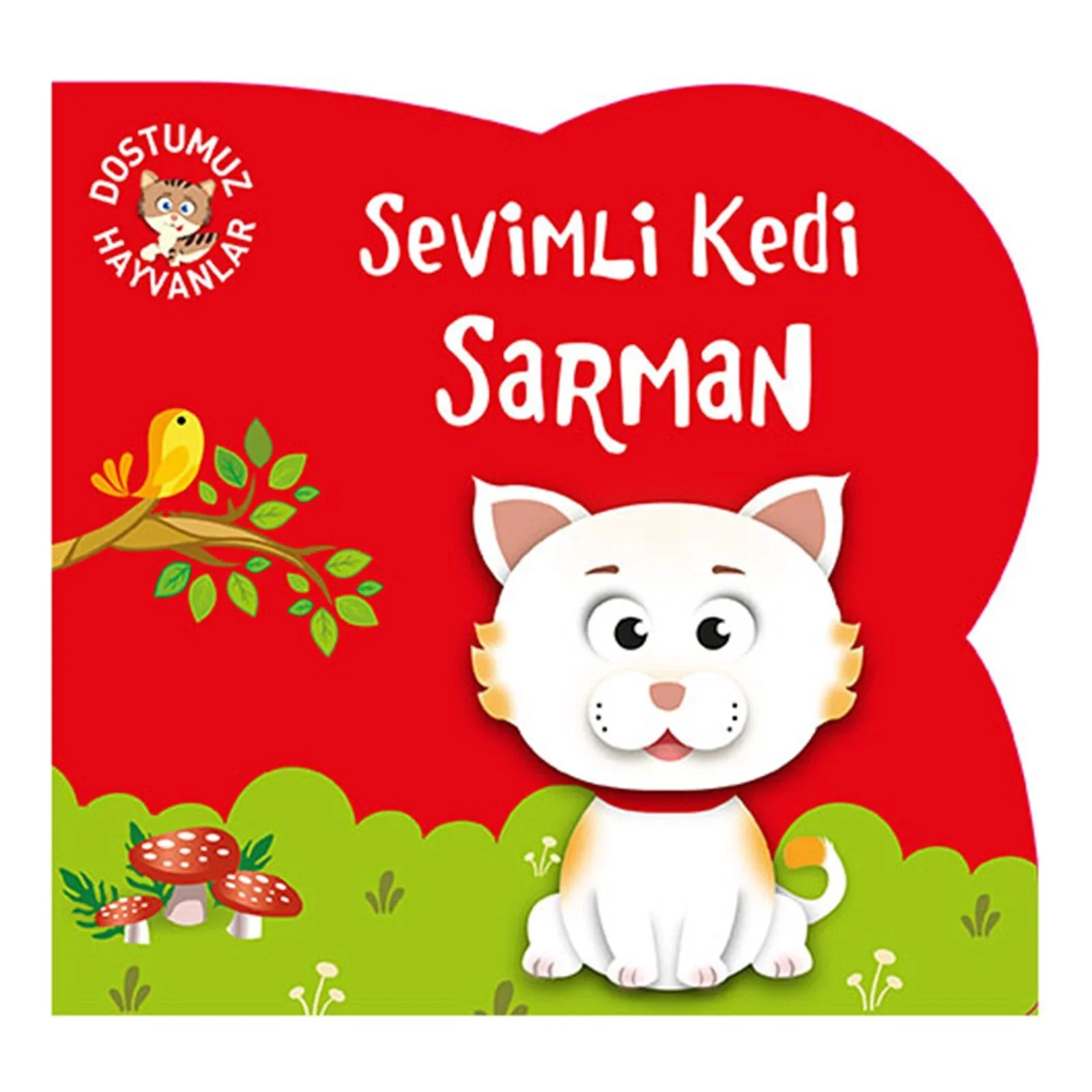 Sevimli Kedi Sarman