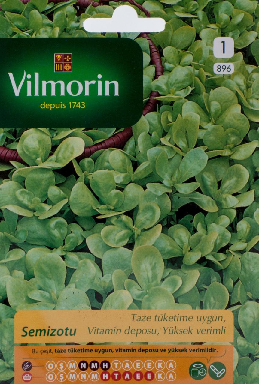 Vilmorin Semizotu Tohumu 1 gr