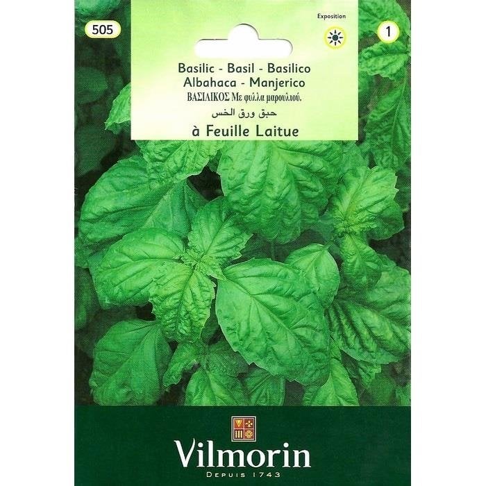 Vilmorin İri Yapraklı Fesleğen Tohumu 1 gr