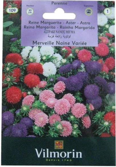 Vilmorin Karışık Renkli Saray Patı Çiçek Tohumu 0,8 gr